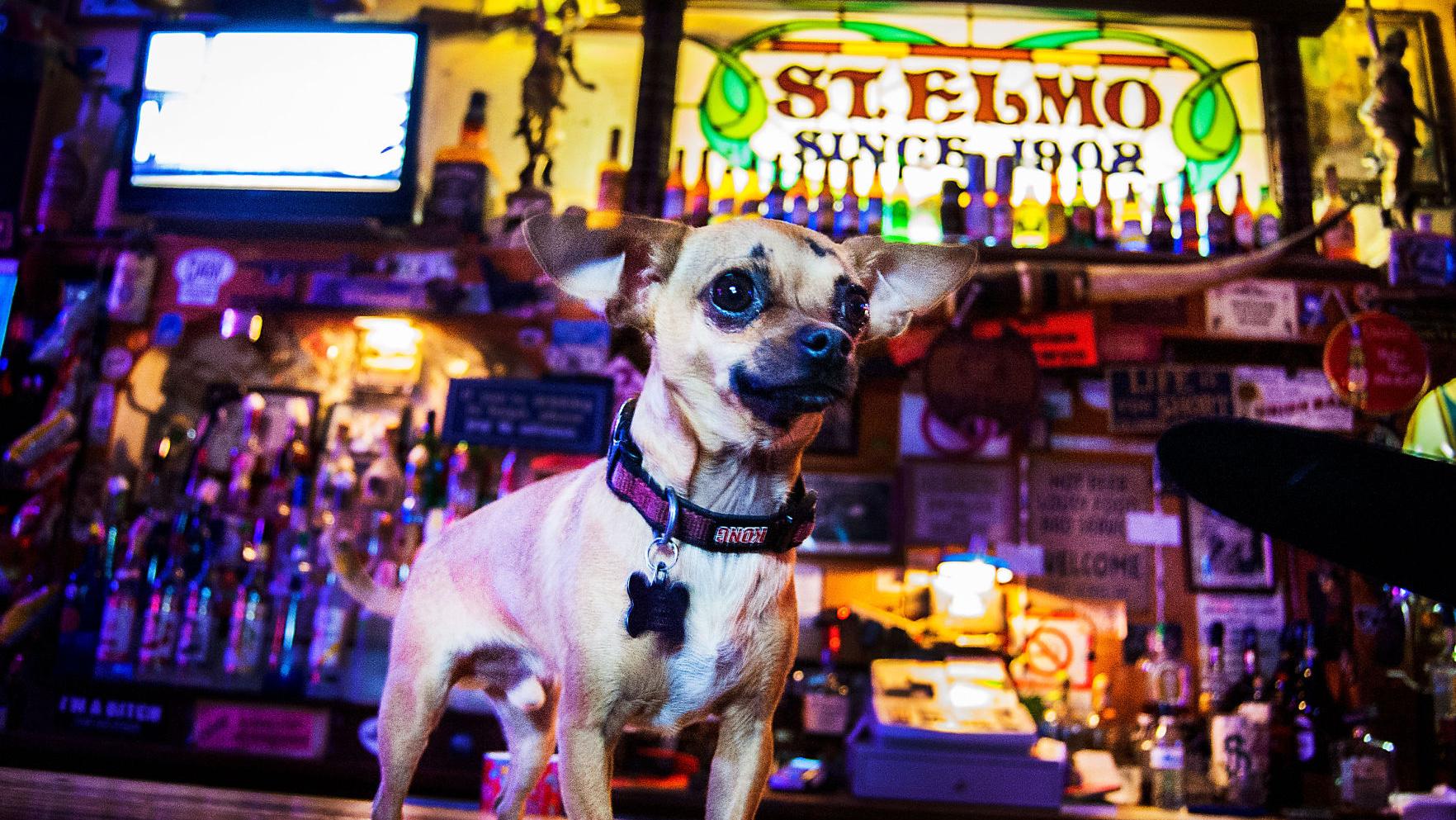 5 best Bisbee bars: Grab a homemade Zima and experience the Gay 90s